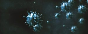Corona virus